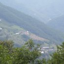 고산목장 이미지