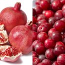 Brother Gym 이미지