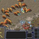 낭만연어 이미지