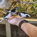 충호스크린골프 이미지