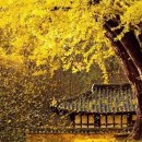 🔸️구구절절 명심해야 할 장년보감 이미지