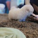 현명한선택 이미지