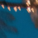 비체팰리스휴양콘도미니엄 이미지