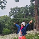 율곡수목원(3) 이미지