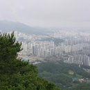 의왕초등학교 앞 Daum카페