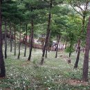 산청 동의보감촌(山淸 東醫寶監村) 이미지