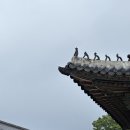 주말토리