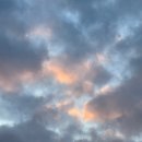 옛날감자탕 수진점 | [성남/분당/서현역] 서현역24시 가성비 좋은 서현해장국 신사골감자탕 서현점