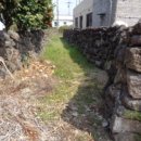 강정동-5 이미지