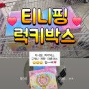 E-플러스마트 | 티니핑 럭키박스 깡 후기 29,900원 구성 (이마트, 롯데마트)