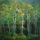 자작나무 이미지