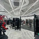 바디다짐 이미지