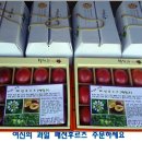 궁한옥민박 이미지