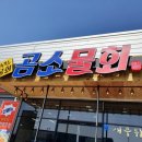 곰소물회