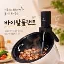 바이탈플랜트 롤팬 뉴오리지널 밀크 | 양꼬치큐브 5분컷 ! 알리오올리오까지 신혼부부 집들이 선물 최고다