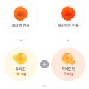 헬스비젼 이미지