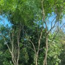 달님농장 이미지