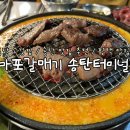 신마포갈매기송탄