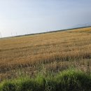 변산마실길 8코스 네이버블로그