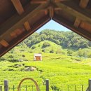 도심다원 이미지