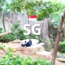 대왕카프라자 | 싱가포르 리버원더스 입장권 티켓 볼거리 리버퀘스트 아이와 여행