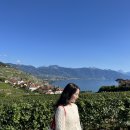 재즈마을리조트 | 뻔한 스위스 여행 NO! 한국인만 몰랐던 스위스 소도시 TOP 5 추천