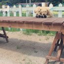 흙내음글램핑 이미지