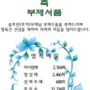 모세상사 이미지