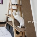 두리동물클리닉 이미지