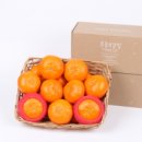 무릉외갓집 이미지