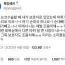 동거인 눈코수술할때 내가 보호자로 있었는데 이미지