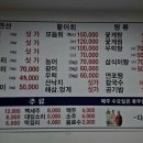 다모아호