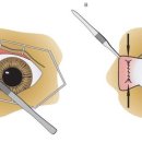 봉선아이동물메디컬센터 이미지