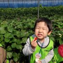 중원농장 이미지