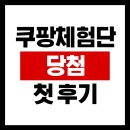 화요일 기다려지는 쿠팡체험단/쿠팡 체험단 당첨 후기