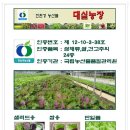 대실농장 Daum카페