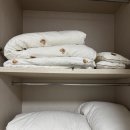 제주조우아 조수 이미지