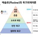 욕구 단계에서의 가장 높은 정점은 자아실현의 욕구다. 이미지