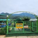 대창농원 이미지