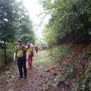 팔송정식당 이미지