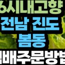 봄동법인