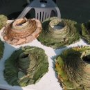 웅천농업협동조합도화담지소 이미지