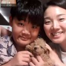 용석목장 Daum카페