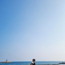 부광횟집 | 울산 애견동반 펜션 추천｜나사풀빌라 직접 다녀온 후기 (쉬기 좋지만 부모님이랑은 고민)