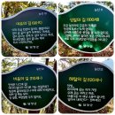 [2024년 11월 16일 토요일] 추월산 호남5대 명산 담양호수변 용마루길인기명산 단풍]안내 이미지