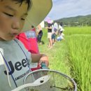 문당환경농업마을 | 대산농촌재단 문당환경마을 가족사랑 농촌체험