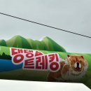 땡큐댕댕 이미지