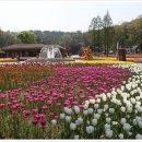 자연생태공원 자연생태박물관 이미지