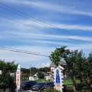 일곱번째 고양이 펜션 이미지