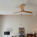 서쪽숲에 네발요정이 내린커피 | 제주 서쪽 여행 • 서귀포 숙소 제주하뭄 머뭄동 5박6일 솔직후기